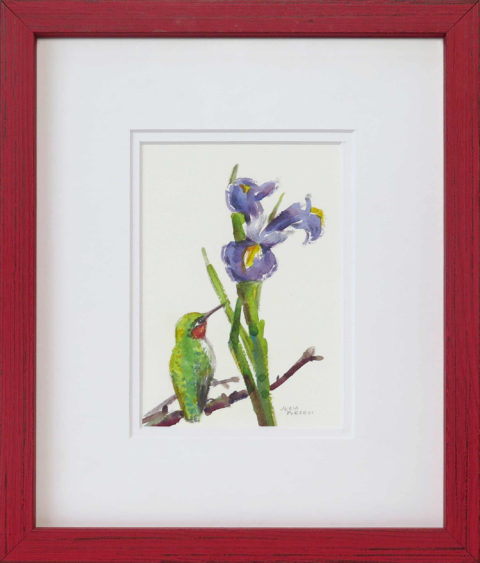 Hummingbird Resting