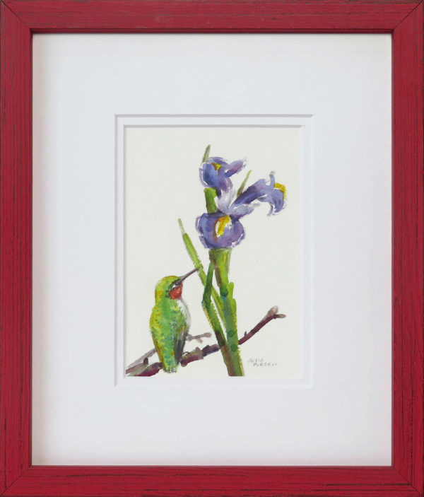 Hummingbird Resting
