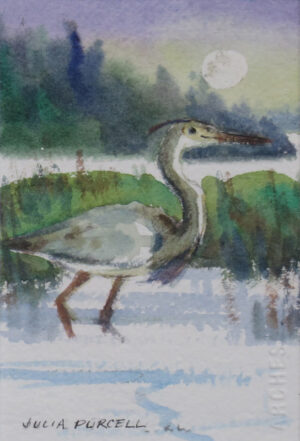 Blue Heron Wading