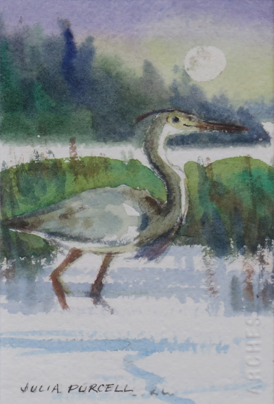 Blue Heron Wading