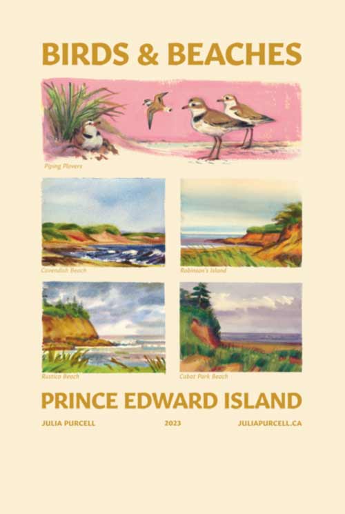 Birds and Beaches Poster