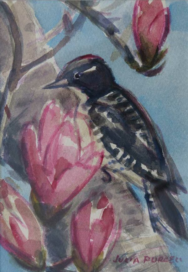 Downy Woodpecker in Magnolia Tree