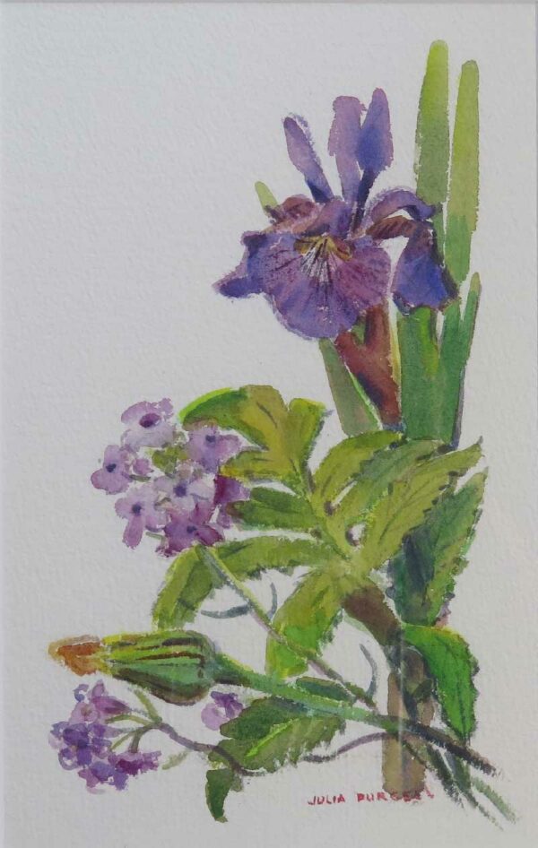 Wild Purple